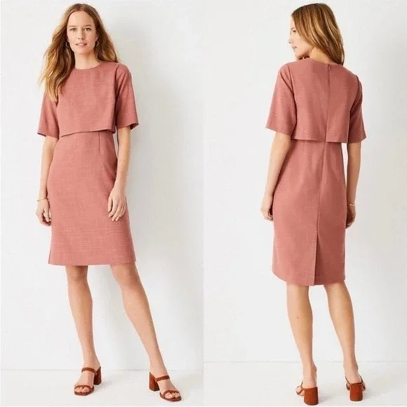 NWT Ann Taylor Elbow Sleeve Overlay Sheath Dress Rose Pink Crosshatch Size 14 - Picture 1 of 10